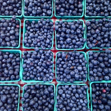 Fresh locally grown blueberries from Sidhu Farms in Puyallup, Washington!